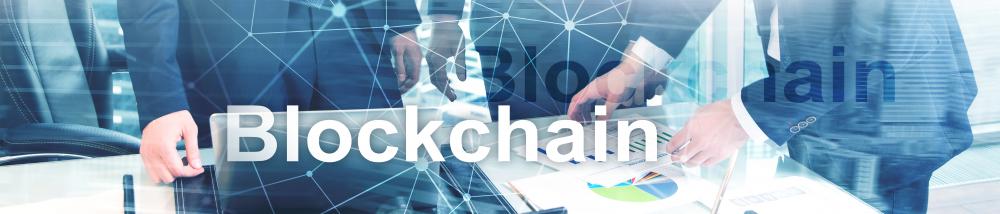 Understanding Blockchain Domains