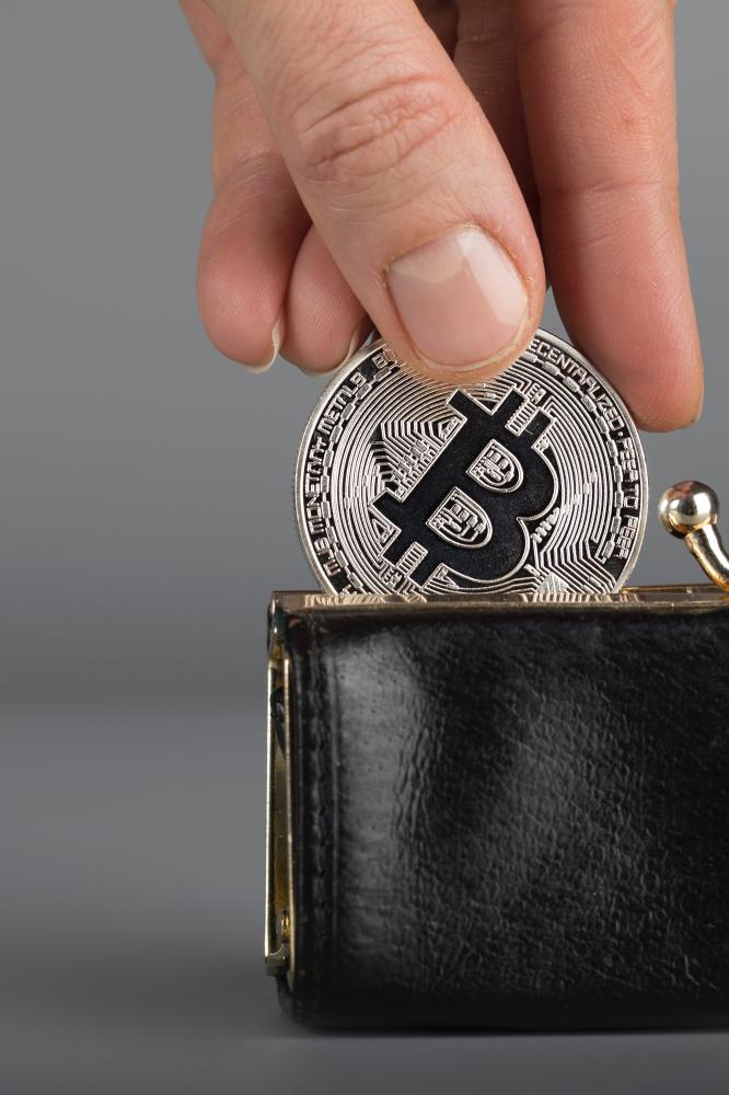Exploring Wallet Types