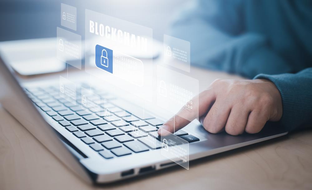 Claiming and Using Blockchain Domains